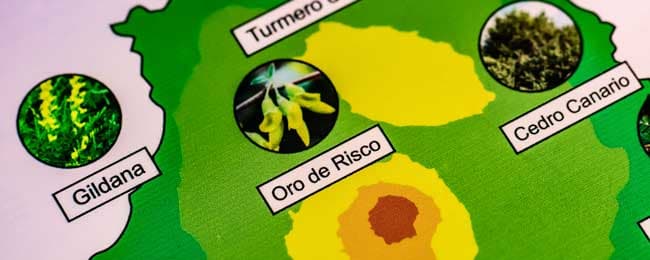 El secreto del Güiniguada