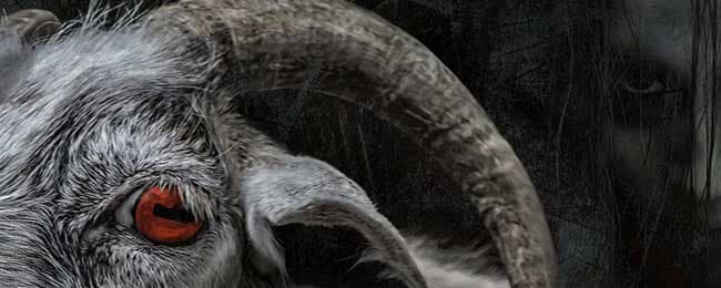 Paranormal experience