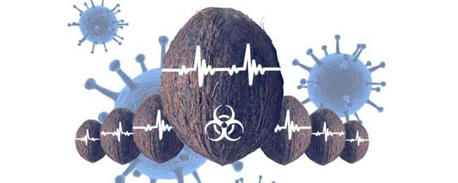 Clínica Lithe (Virus)