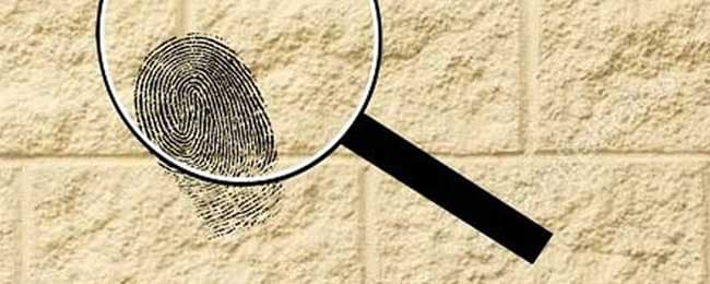 La desaparición de Sofía